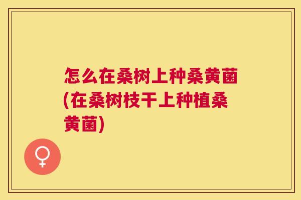 怎么在桑树上种桑黄菌(在桑树枝干上种植桑黄菌) 怎么在桑树上种桑黄菌(在桑树枝干上种植桑黄菌)