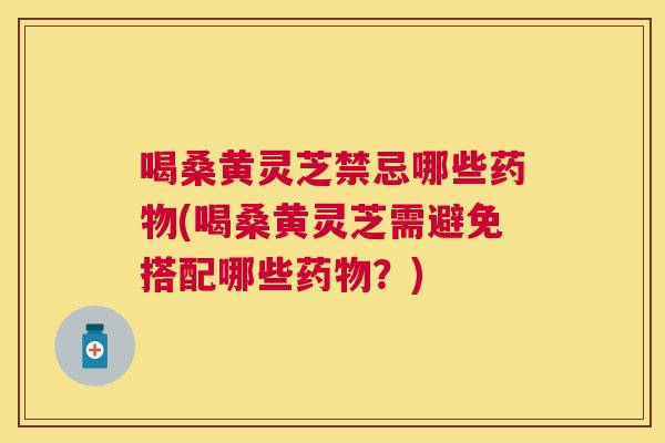 喝桑黄灵芝禁忌哪些(喝桑黄灵芝需避免搭配哪些?) 喝桑黄灵芝禁忌哪些(喝桑黄灵芝需避免搭配哪些?)