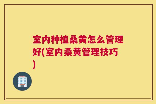 室内种植桑黄怎么管理好(室内桑黄管理技巧) 室内种植桑黄怎么管理好(室内桑黄管理技巧)