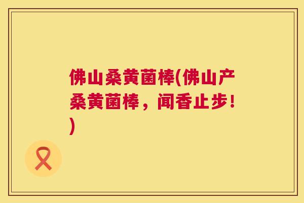 佛山桑黄菌棒(佛山产桑黄菌棒，闻香止步！)