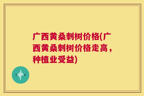 广西黄桑刺树价格(广西黄桑刺树价格走高,种植业受益) 广西黄桑刺树价格(广西黄桑刺树价格走高,种植业受益)