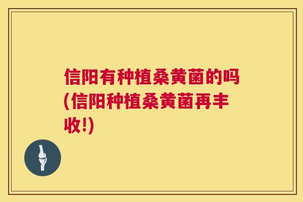 信阳有种植桑黄菌的吗(信阳种植桑黄菌再丰收!) 信阳有种植桑黄菌的吗(信阳种植桑黄菌再丰收!)