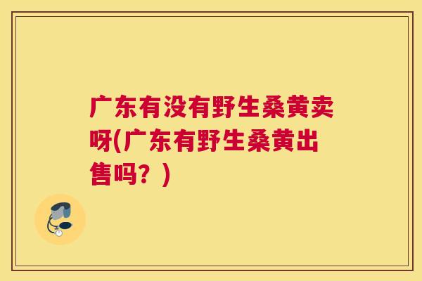 广东有没有野生桑黄卖呀(广东有野生桑黄出售吗?) 广东有没有野生桑黄卖呀(广东有野生桑黄出售吗?)