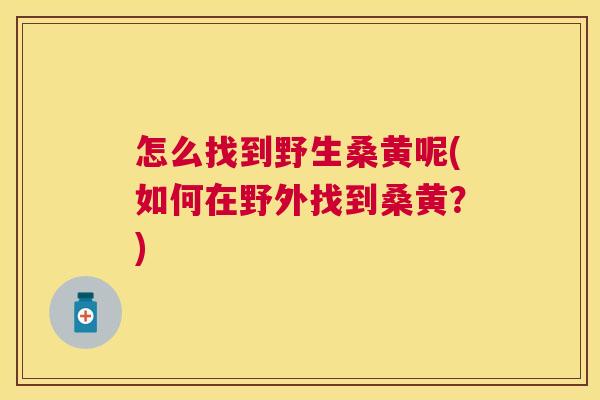 怎么找到野生桑黄呢(如何在野外找到桑黄？)
