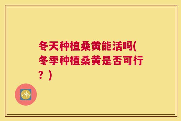 冬天种植桑黄能活吗(冬季种植桑黄是否可行?) 冬天种植桑黄能活吗(冬季种植桑黄是否可行?)