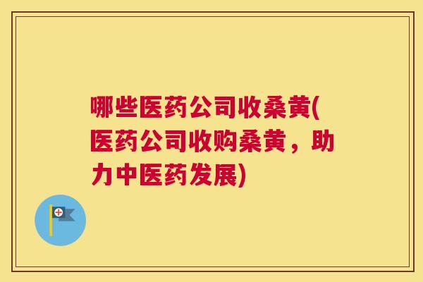 哪些医药公司收桑黄(医药公司收购桑黄,助力中医药发展) 哪些医药公司收桑黄(医药公司收购桑黄,助力中医药发展)