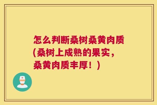怎么判断桑树桑黄肉质(桑树上成熟的果实,桑黄肉质丰厚!) 怎么判断桑树桑黄肉质(桑树上成熟的果实,桑黄肉质丰厚!)