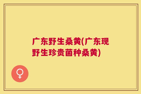 广东野生桑黄(广东现野生珍贵菌种桑黄) 广东野生桑黄(广东现野生珍贵菌种桑黄)