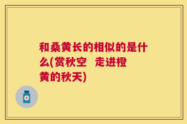 和桑黄长的相似的是什么(赏秋空 走进橙黄的秋天) 和桑黄长的相似的是什么(赏秋空 走进橙黄的秋天)