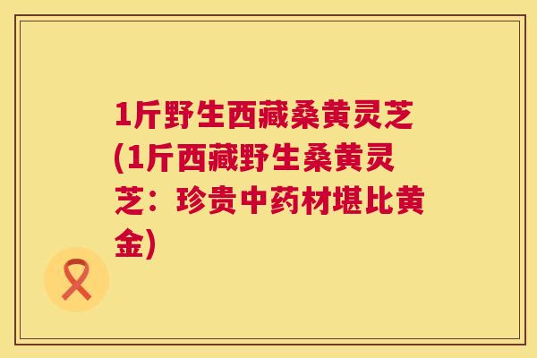 1斤野生西藏桑黄灵芝(1斤西藏野生桑黄灵芝:珍贵材堪比黄金) 1斤野生西藏桑黄灵芝(1斤西藏野生桑黄灵芝:珍贵材堪比黄金)