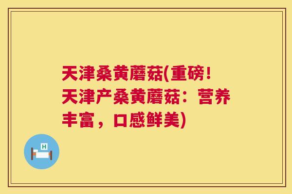天津桑黄蘑菇(重磅!天津产桑黄蘑菇:营养丰富,口感鲜美) 天津桑黄蘑菇(重磅!天津产桑黄蘑菇:营养丰富,口感鲜美)