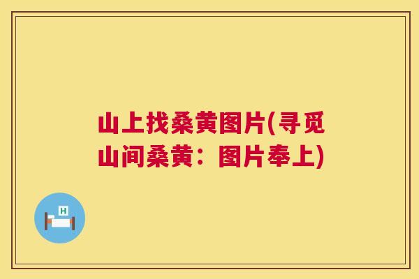 山上找桑黄图片(寻觅山间桑黄:图片奉上) 山上找桑黄图片(寻觅山间桑黄:图片奉上)