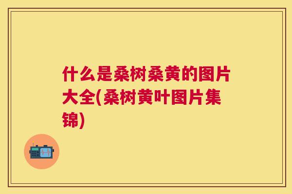 什么是桑树桑黄的图片大全(桑树黄叶图片集锦) 什么是桑树桑黄的图片大全(桑树黄叶图片集锦)