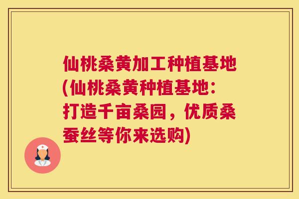 仙桃桑黄加工种植基地(仙桃桑黄种植基地：打造千亩桑园，优质桑蚕丝等你来选购)