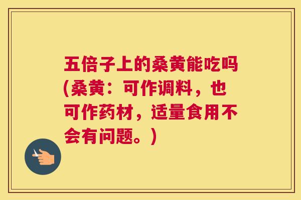 五倍子上的桑黄能吃吗(桑黄：可作调料，也可作药材，适量食用不会有问题。)