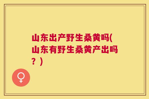山东出产野生桑黄吗(山东有野生桑黄产出吗?) 山东出产野生桑黄吗(山东有野生桑黄产出吗?)