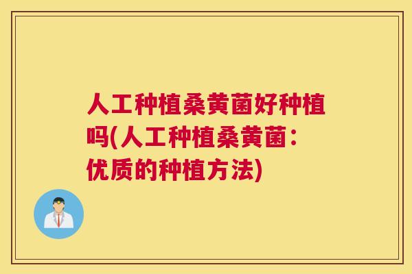 人工种植桑黄菌好种植吗(人工种植桑黄菌:优质的种植方法) 人工种植桑黄菌好种植吗(人工种植桑黄菌:优质的种植方法)