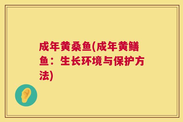 成年黄桑鱼(成年黄鳝鱼:生长环境与保护方法) 成年黄桑鱼(成年黄鳝鱼:生长环境与保护方法)
