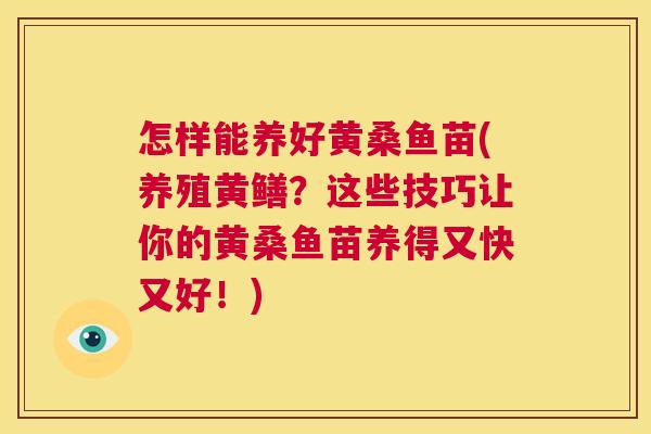 怎样能养好黄桑鱼苗(养殖黄鳝?这些技巧让你的黄桑鱼苗养得又快又好!) 怎样能养好黄桑鱼苗(养殖黄鳝?这些技巧让你的黄桑鱼苗养得又快又好!)