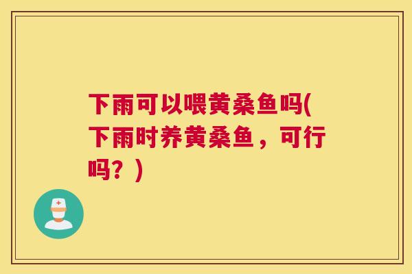 下雨可以喂黄桑鱼吗(下雨时养黄桑鱼,可行吗?) 下雨可以喂黄桑鱼吗(下雨时养黄桑鱼,可行吗?)