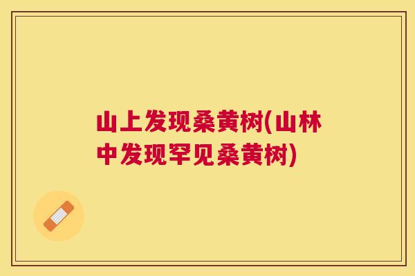 山上发现桑黄树(山林中发现罕见桑黄树)