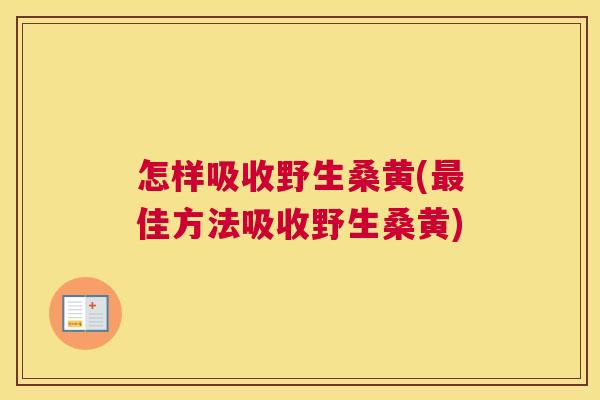 怎样吸收野生桑黄(佳方法吸收野生桑黄) 怎样吸收野生桑黄(佳方法吸收野生桑黄)