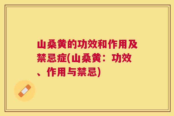 山桑黄的功效和作用及禁忌症(山桑黄:功效、作用与禁忌) 山桑黄的功效和作用及禁忌症(山桑黄:功效、作用与禁忌)