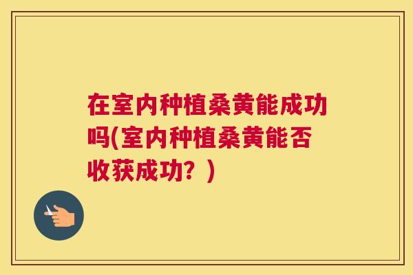 在室内种植桑黄能成功吗(室内种植桑黄能否收获成功?) 在室内种植桑黄能成功吗(室内种植桑黄能否收获成功?)
