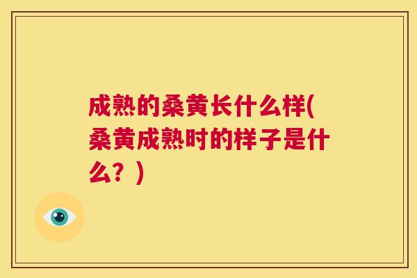 成熟的桑黄长什么样(桑黄成熟时的样子是什么?) 成熟的桑黄长什么样(桑黄成熟时的样子是什么?)