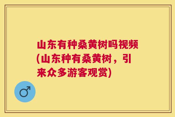 山东有种桑黄树吗视频(山东种有桑黄树,引来众多游客观赏) 山东有种桑黄树吗视频(山东种有桑黄树,引来众多游客观赏)