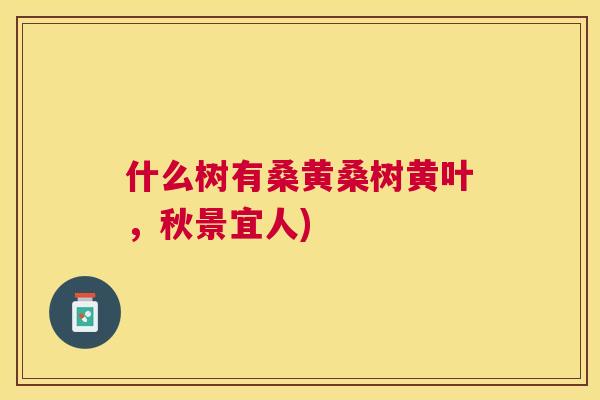 什么树有桑黄桑树黄叶,秋景宜人) 什么树有桑黄桑树黄叶,秋景宜人)