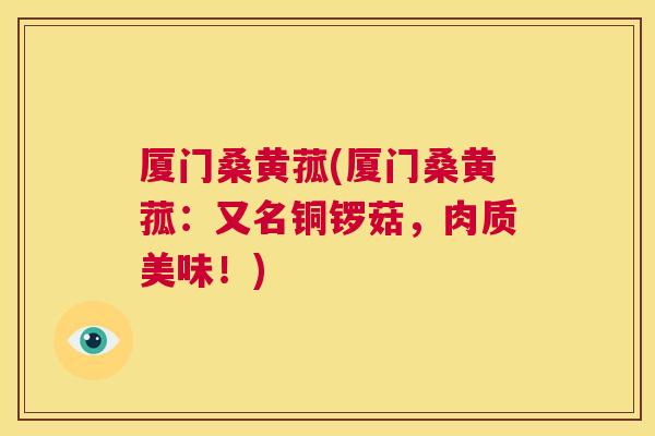厦门桑黄菰(厦门桑黄菰:又名铜锣菇,肉质美味!) 厦门桑黄菰(厦门桑黄菰:又名铜锣菇,肉质美味!)