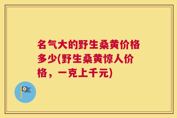 名气大的野生桑黄价格多少(野生桑黄惊人价格,一克上千元) 名气大的野生桑黄价格多少(野生桑黄惊人价格,一克上千元)