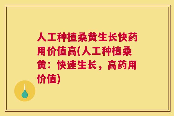 人工种植桑黄生长快药用价值高(人工种植桑黄:快速生长,高药用价值) 人工种植桑黄生长快药用价值高(人工种植桑黄:快速生长,高药用价值)