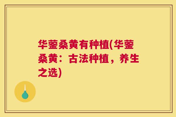 华蓥桑黄有种植(华蓥桑黄:古法种植,养生之选) 华蓥桑黄有种植(华蓥桑黄:古法种植,养生之选)
