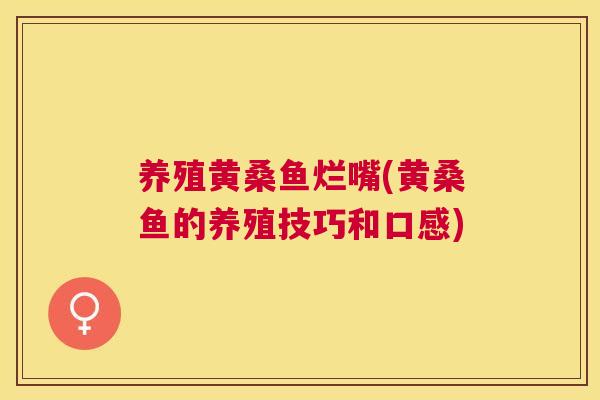 养殖黄桑鱼烂嘴(黄桑鱼的养殖技巧和口感) 养殖黄桑鱼烂嘴(黄桑鱼的养殖技巧和口感)