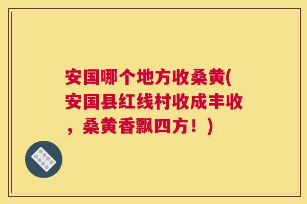 安国哪个地方收桑黄(安国县红线村收成丰收,桑黄香飘四方!) 安国哪个地方收桑黄(安国县红线村收成丰收,桑黄香飘四方!)