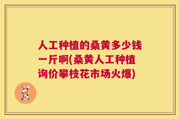 人工种植的桑黄多少钱一斤啊(桑黄人工种植询价攀枝花市场火爆) 人工种植的桑黄多少钱一斤啊(桑黄人工种植询价攀枝花市场火爆)