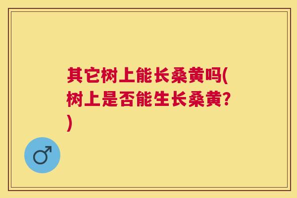 其它树上能长桑黄吗(树上是否能生长桑黄?) 其它树上能长桑黄吗(树上是否能生长桑黄?)