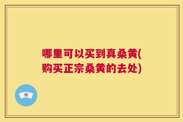 哪里可以买到真桑黄(购买正宗桑黄的去处) 哪里可以买到真桑黄(购买正宗桑黄的去处)
