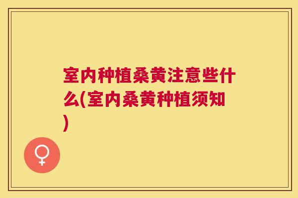 室内种植桑黄注意些什么(室内桑黄种植须知)