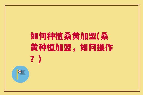 如何种植桑黄加盟(桑黄种植加盟,如何操作?) 如何种植桑黄加盟(桑黄种植加盟,如何操作?)