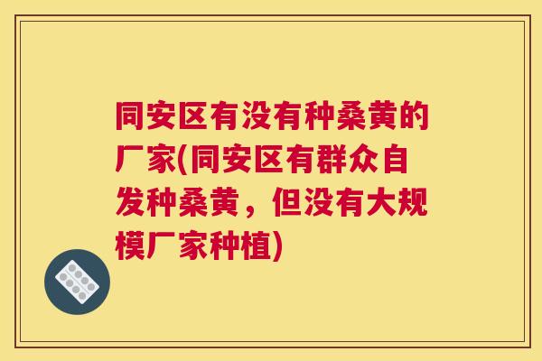 同安区有没有种桑黄的厂家(同安区有群众自发种桑黄,但没有大规模厂家种植) 同安区有没有种桑黄的厂家(同安区有群众自发种桑黄,但没有大规模厂家种植)