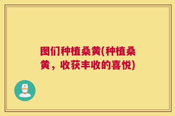图们种植桑黄(种植桑黄,收获丰收的喜悦) 图们种植桑黄(种植桑黄,收获丰收的喜悦)