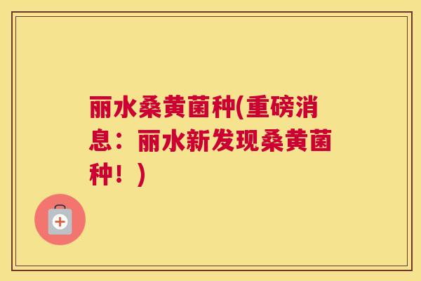 丽水桑黄菌种(重磅消息:丽水新发现桑黄菌种!) 丽水桑黄菌种(重磅消息:丽水新发现桑黄菌种!)