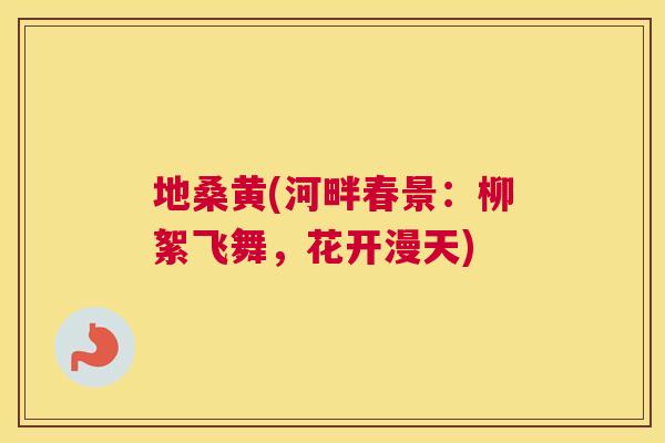 地桑黄(河畔春景:柳絮飞舞,花开漫天) 地桑黄(河畔春景:柳絮飞舞,花开漫天)