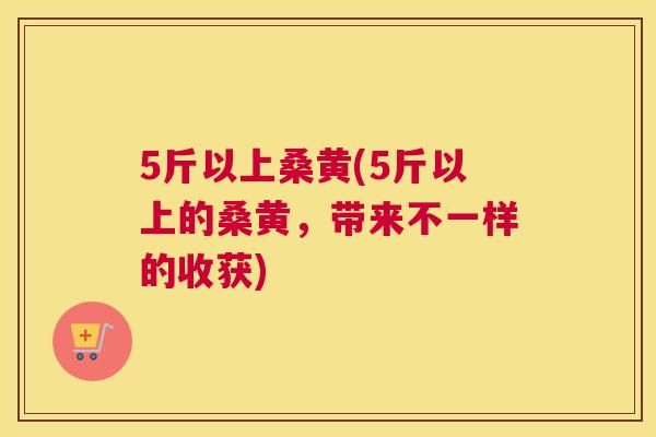 5斤以上桑黄(5斤以上的桑黄,带来不一样的收获) 5斤以上桑黄(5斤以上的桑黄,带来不一样的收获)