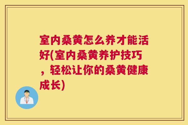 室内桑黄怎么养才能活好(室内桑黄养护技巧,轻松让你的桑黄健康成长) 室内桑黄怎么养才能活好(室内桑黄养护技巧,轻松让你的桑黄健康成长)