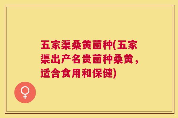 五家渠桑黄菌种(五家渠出产名贵菌种桑黄,适合食用和保健) 五家渠桑黄菌种(五家渠出产名贵菌种桑黄,适合食用和保健)