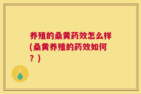 养殖的桑黄怎么样(桑黄养殖的如何?) 养殖的桑黄怎么样(桑黄养殖的如何?)